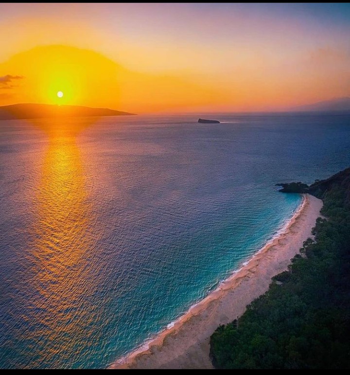 FEELS LIKE PARADISE