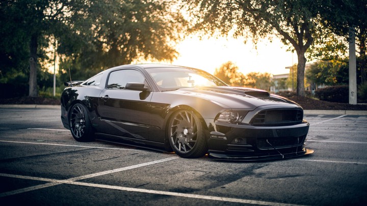 ford mustang shelby black
