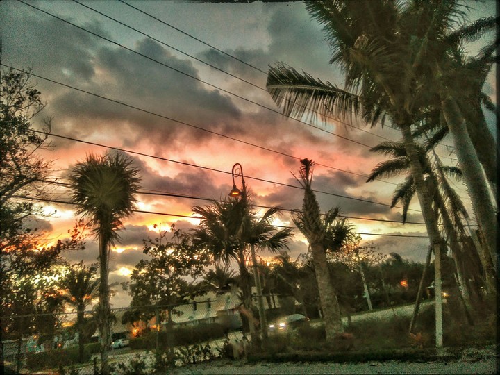Evening Beauty