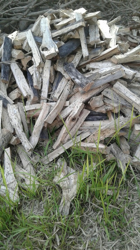 : Firewood :
