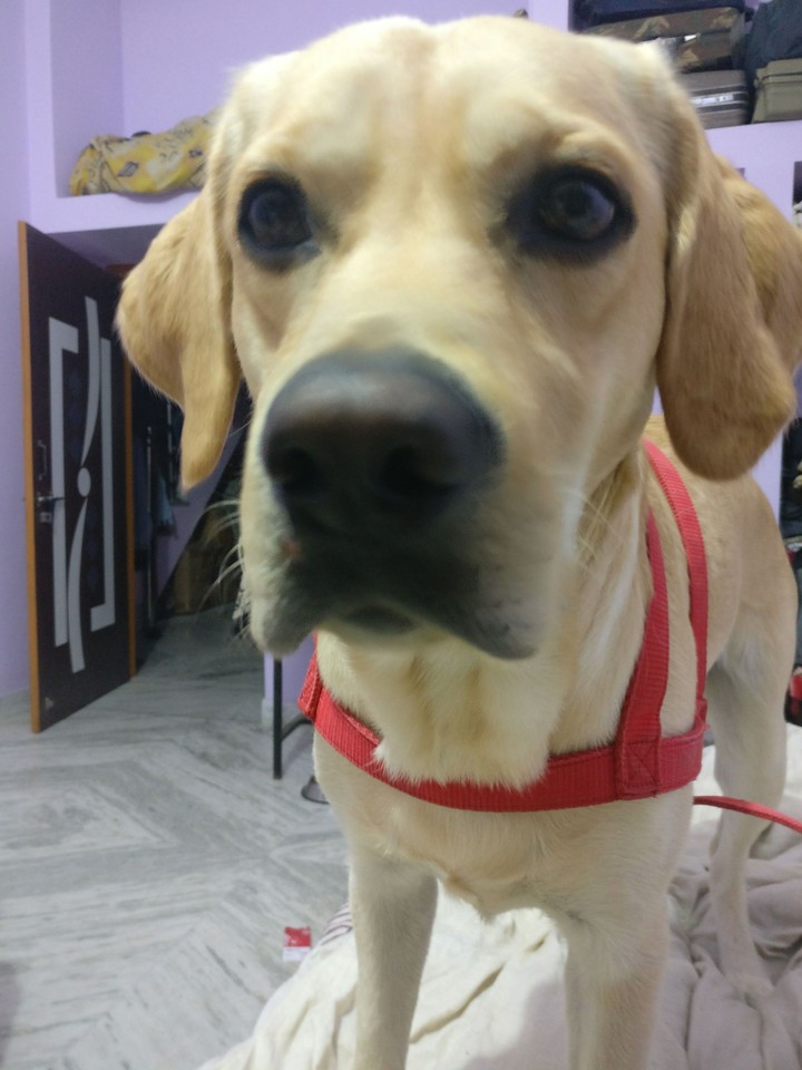 coopr