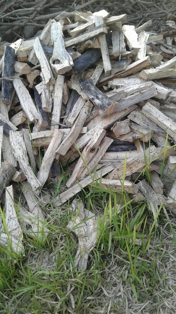 : Firewood :