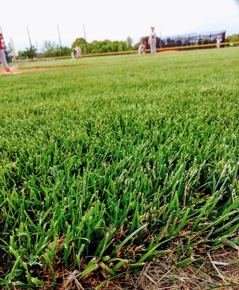 Baseball Game