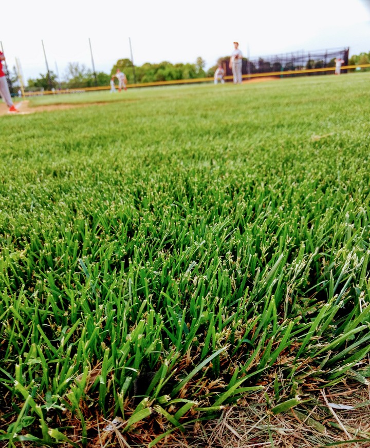 Baseball Game