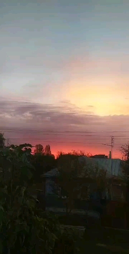 ♣