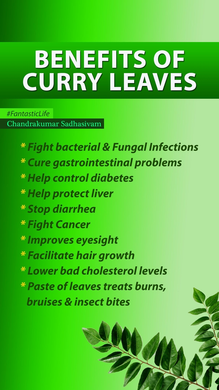 Benefits of Curry leaves