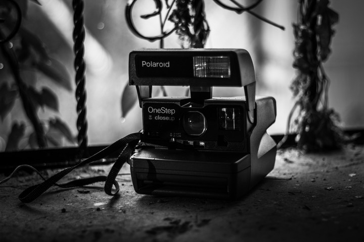 Pola