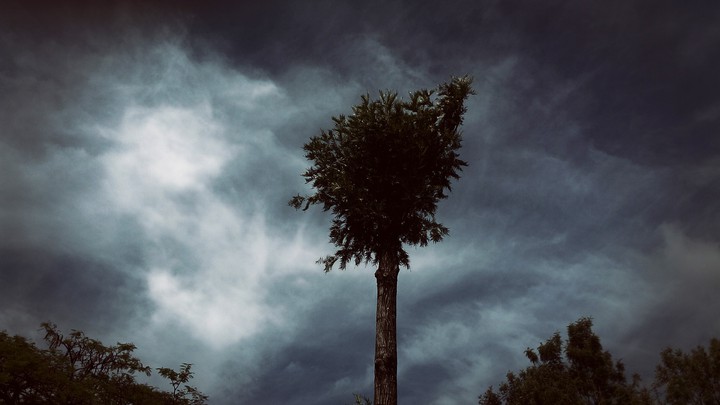 Dark