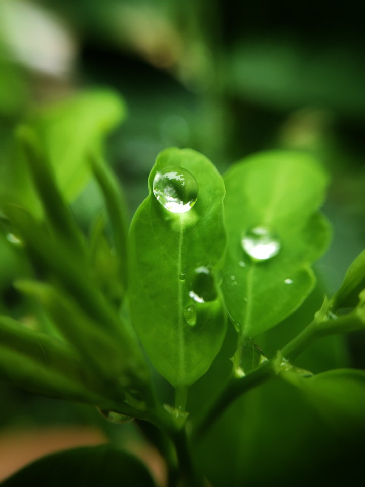 Rainy days are always beautiful