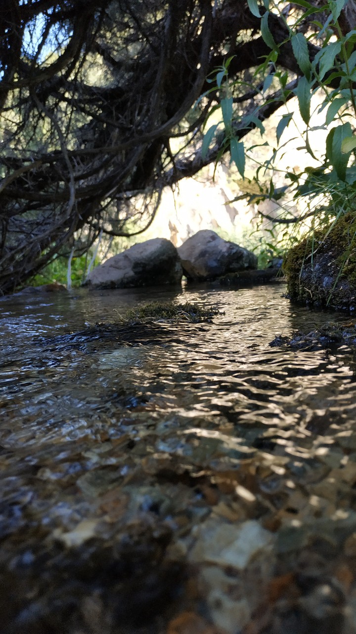 река