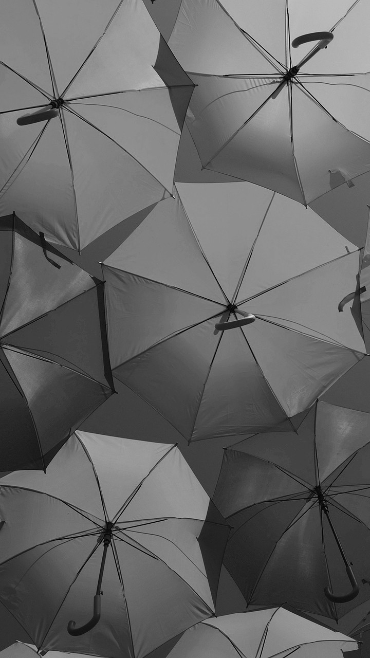 Umbrella