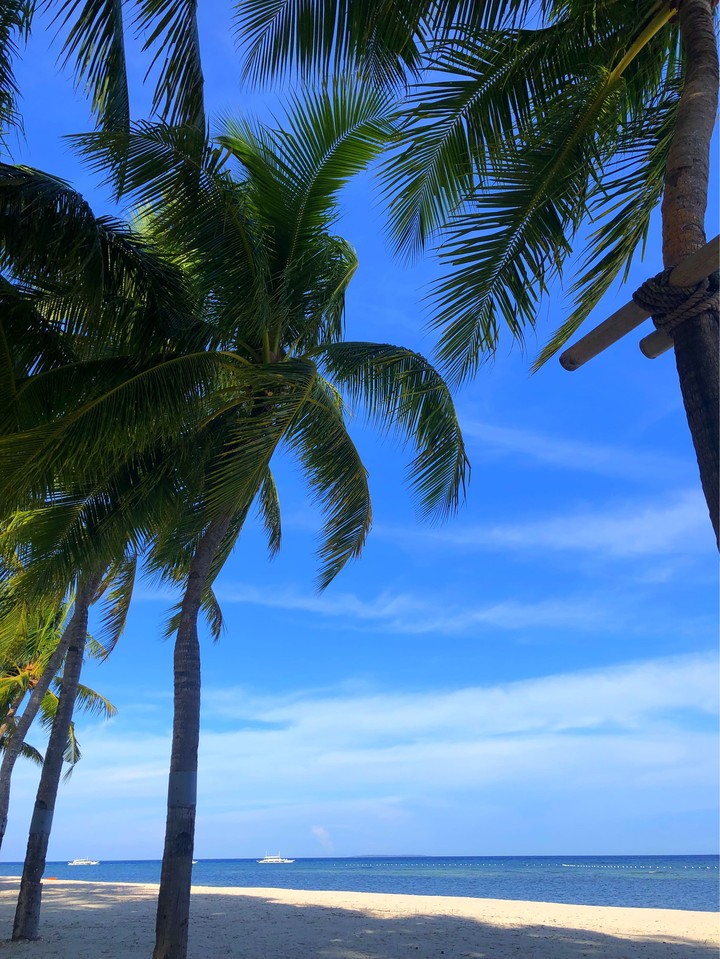 Bohol