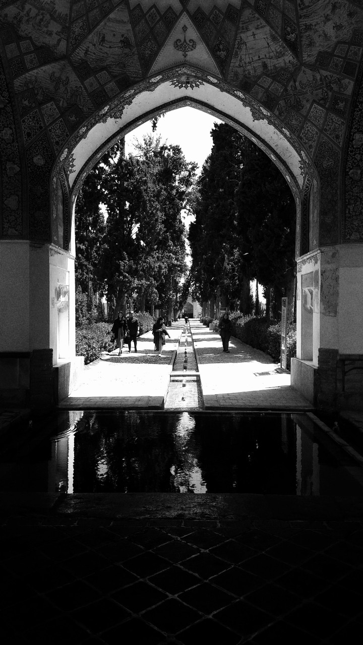 Fin garden