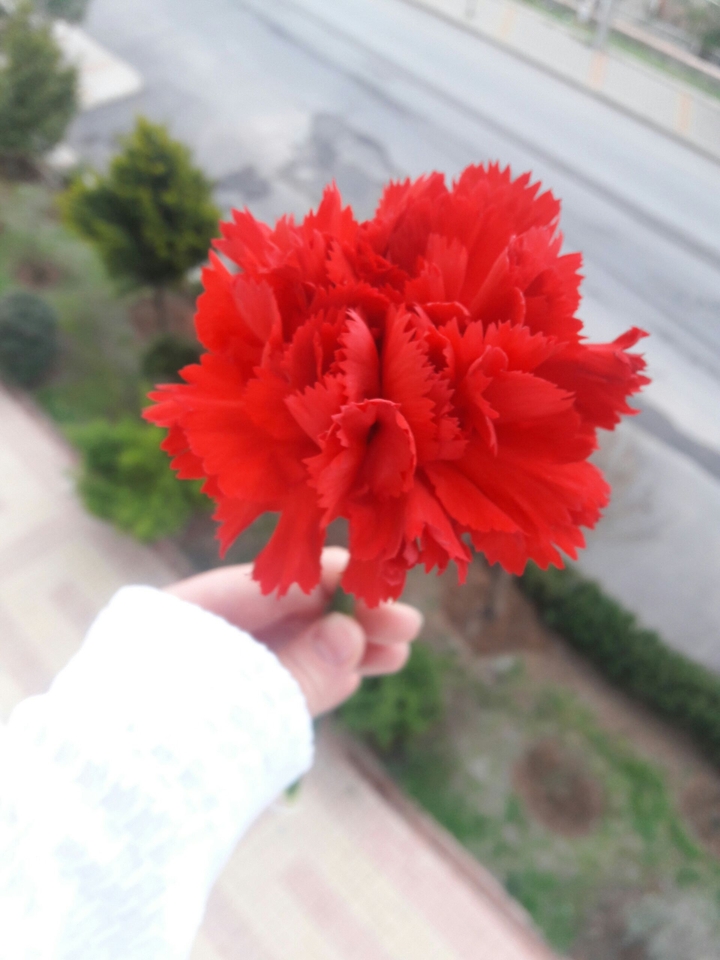 flower