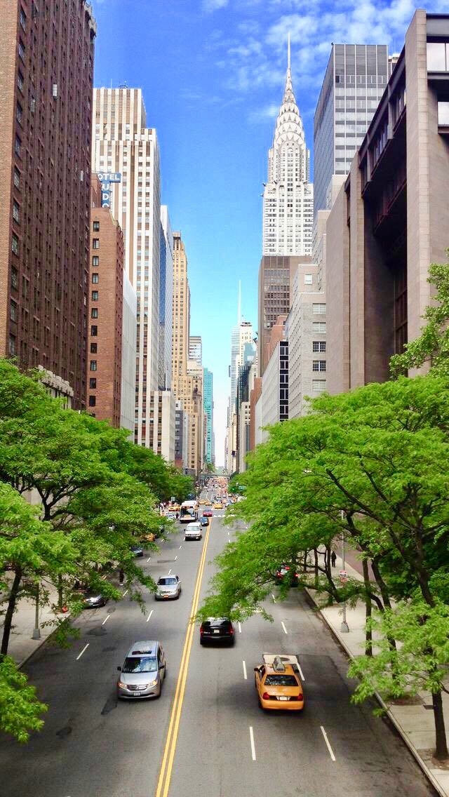 NY