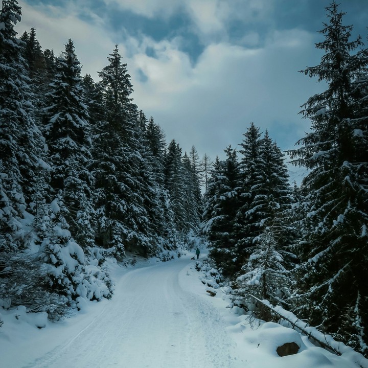 snowy