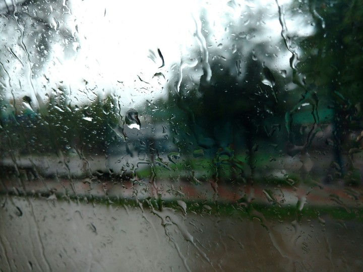 Rain makes everything beautiful