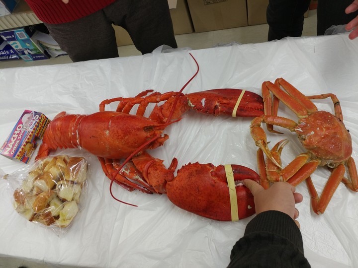 랍스타