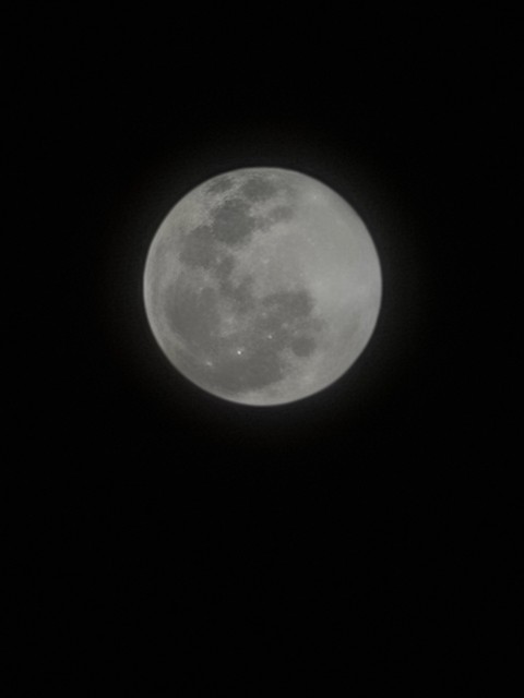 #nochedeluna, #lunallena
