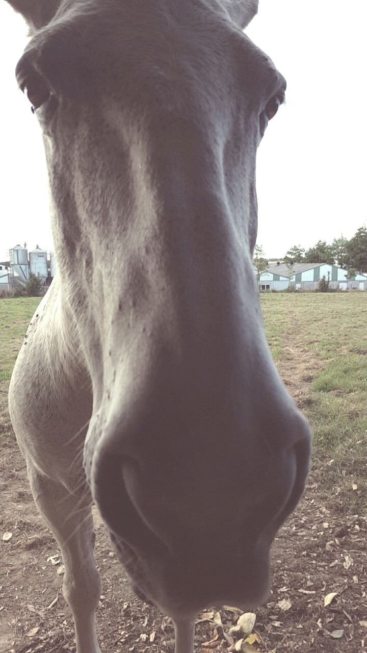 Kanaï ♡