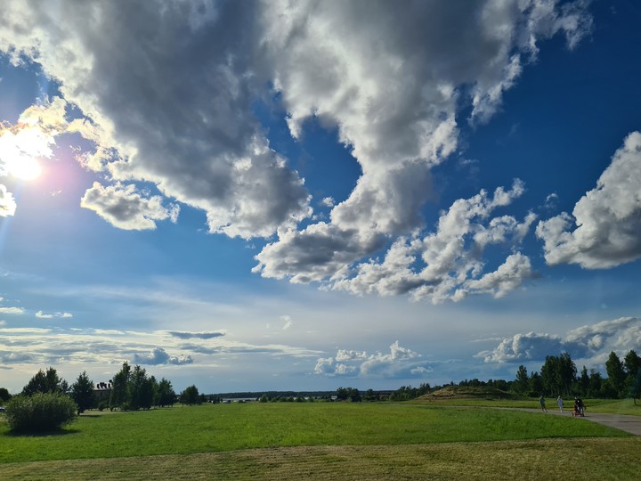 field