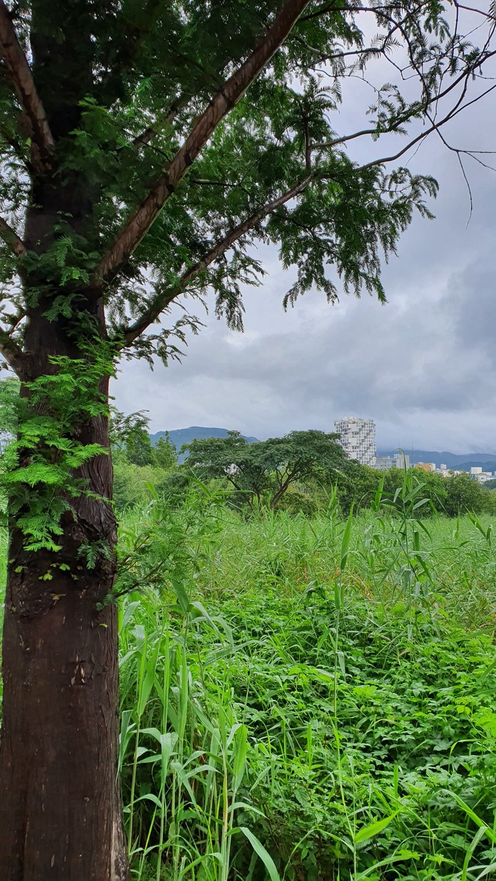 nature