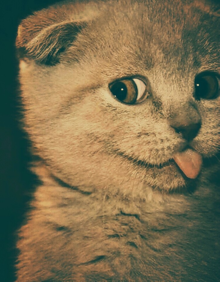 маленькое чудо