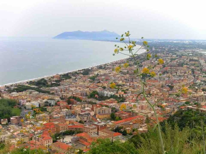 view