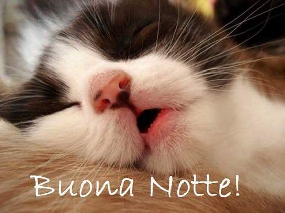Buona notte!!