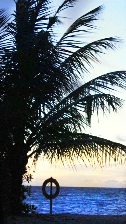 Sea