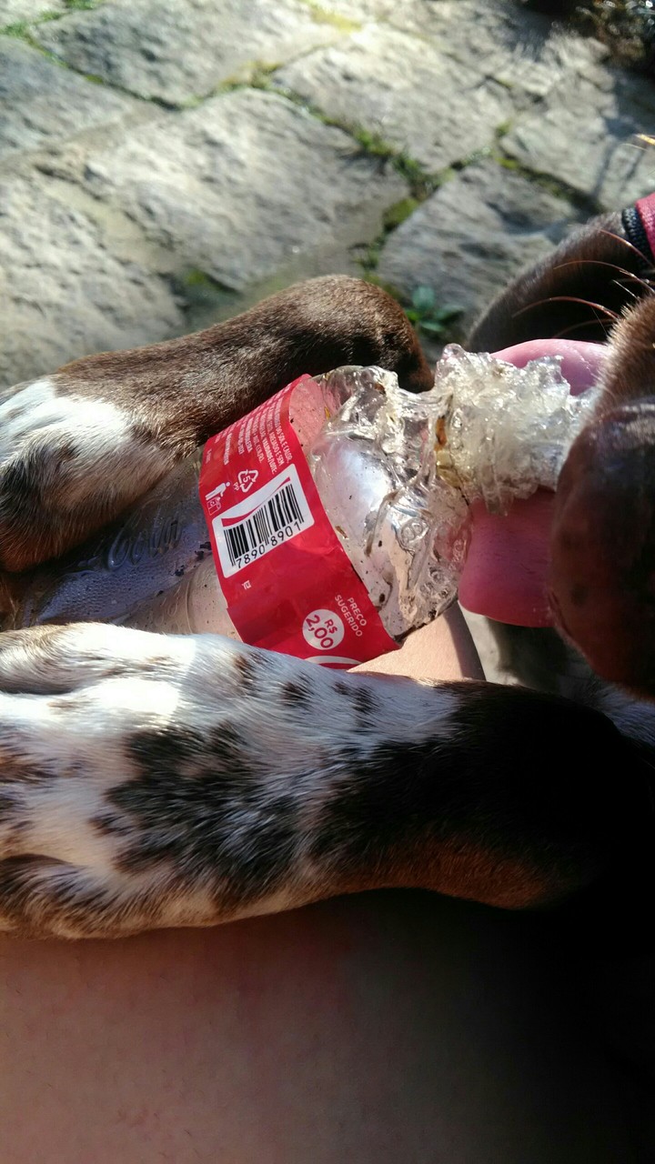 oooo