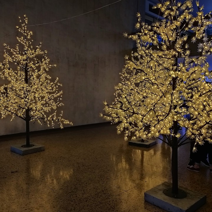 Luces