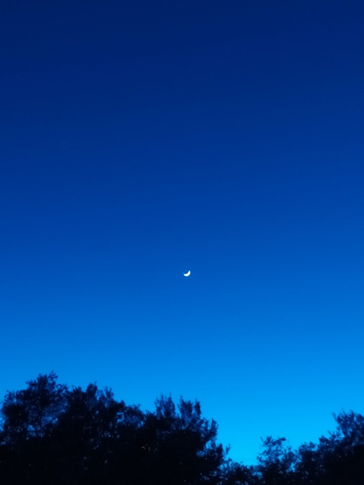 The Moon