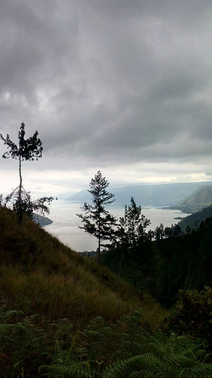 Sky and Land