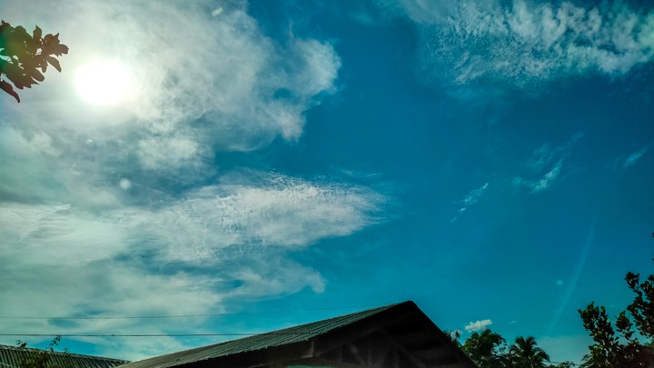 sunny