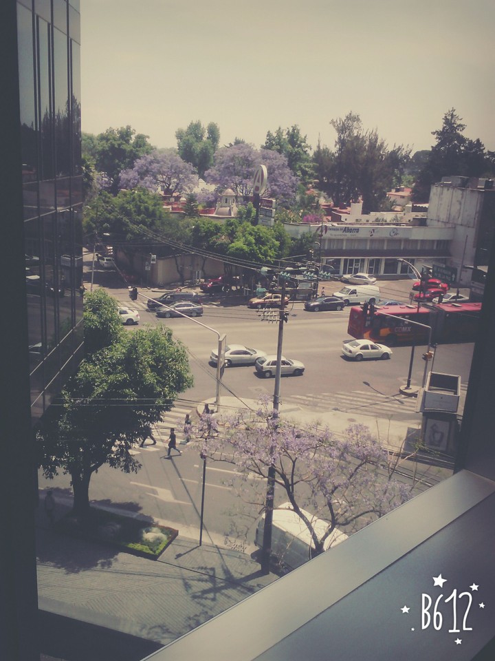 street insurgentes sur