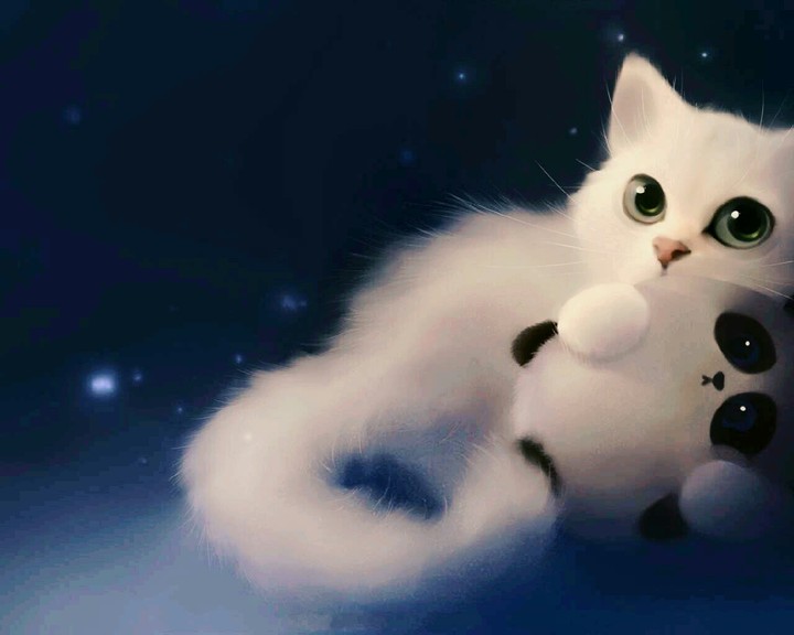 Panda and cat's