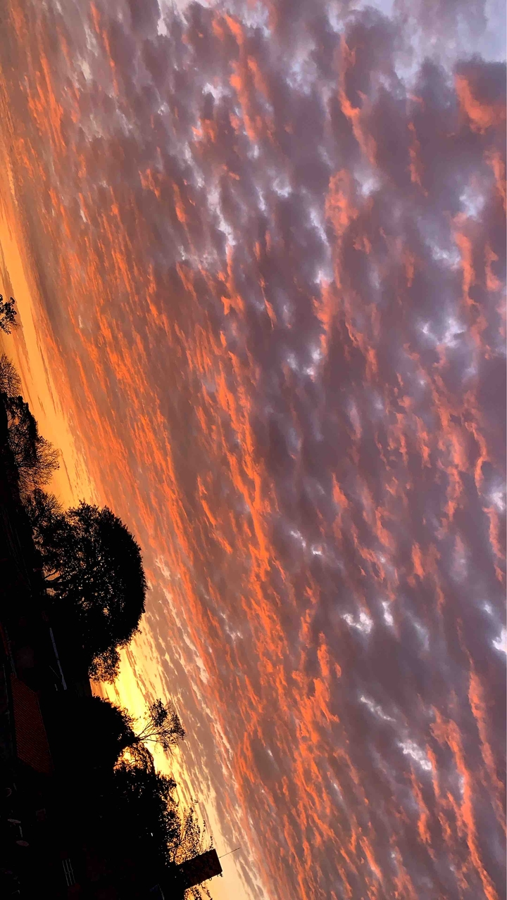 sky morning