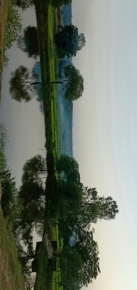 waaao