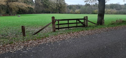 tilligte
