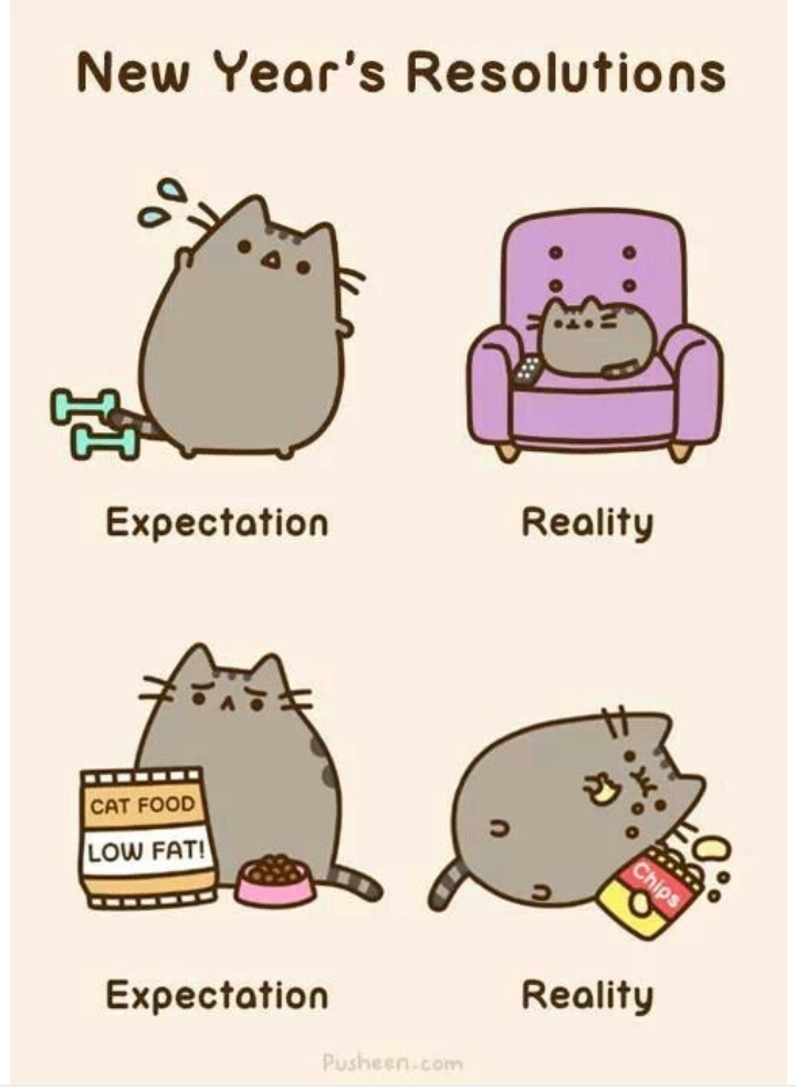 pusheen 