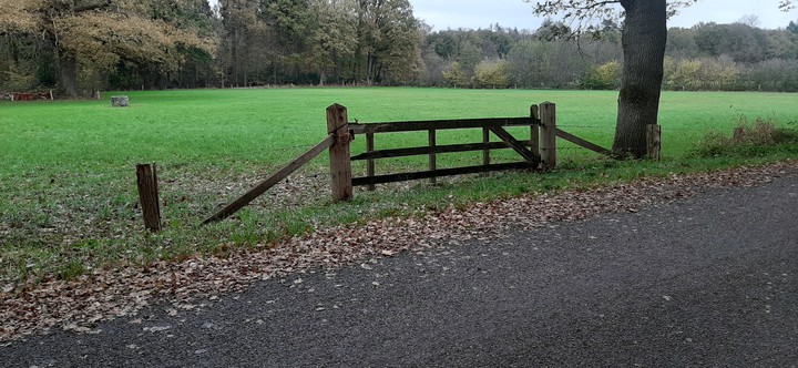 tilligte