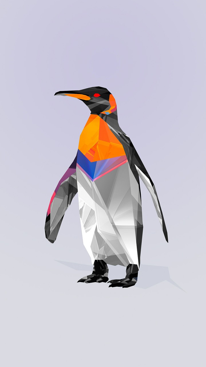 Pingüino - Penguin