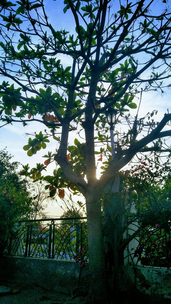 Accidental click