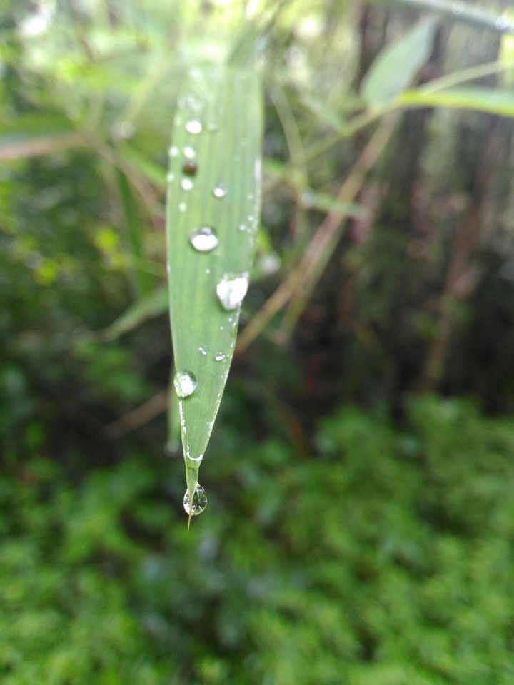 Drop of Water