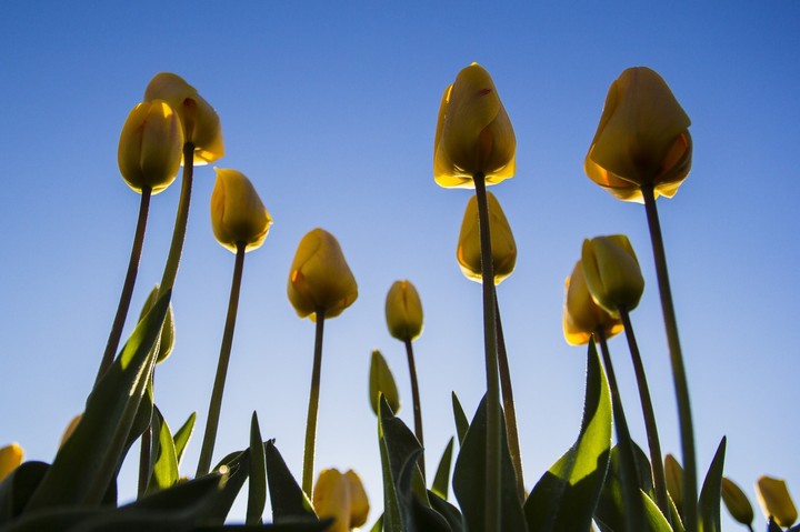bright in yellow....