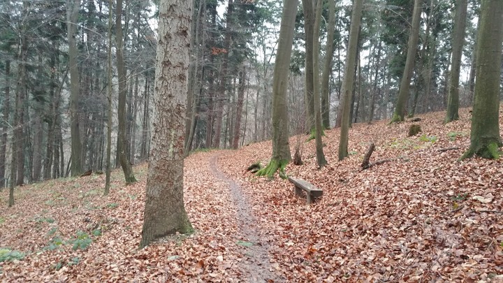 #autumn