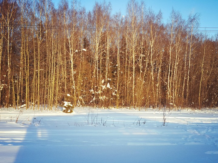 Winter