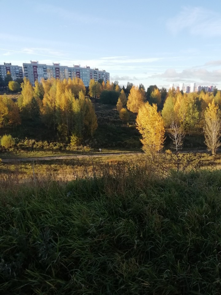осень