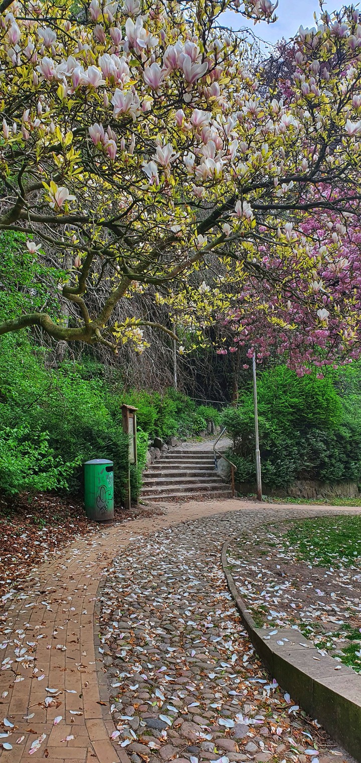 Der Weg